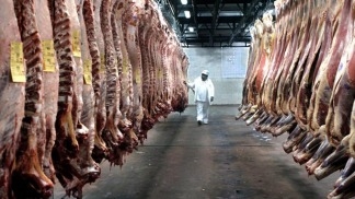 Chile desaprobó a la mitad de los frigoríficos y corren peligro las exportaciones de carne