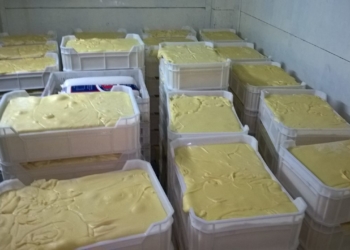 Investigación especial: El circuito clandestino de la mozzarella