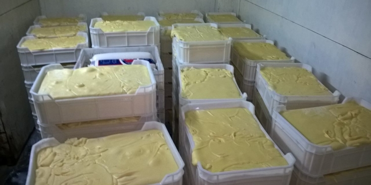 Investigación especial: El circuito clandestino de la mozzarella