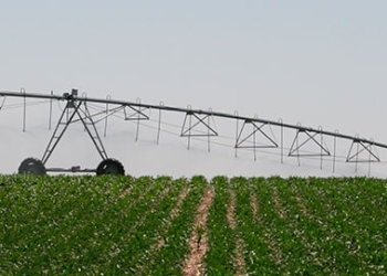 De Kicillof a Macri, un negocio a la medida de una empresa saudí