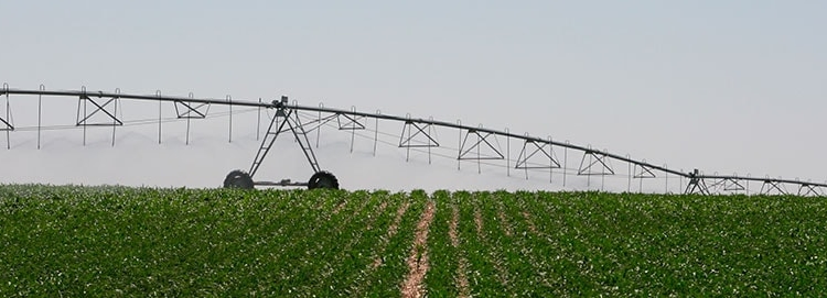 De Kicillof a Macri, un negocio a la medida de una empresa saudí