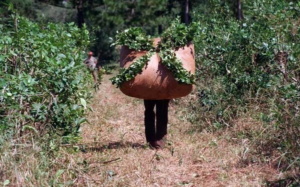 Angel Oseniuk: “Hay un complot para perjudicar a los productores de yerba mate”