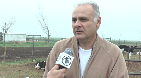 El Estado, el gran ausente en la reconstrucción de la lechería