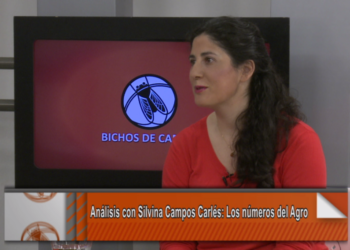 Silvina Campos Carlés: “La mitad de los productores no son sujeto de crédito”