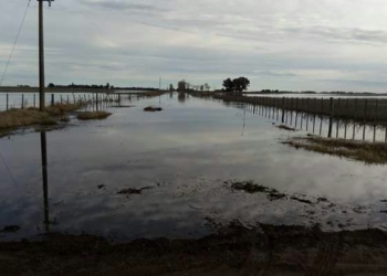 Moira Astudillos: “Están inundando adrede a Mones Cazón, porque no quieren recibir el agua en Pehuajó”