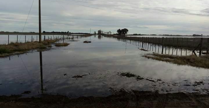 Moira Astudillos: “Están inundando adrede a Mones Cazón, porque no quieren recibir el agua en Pehuajó”