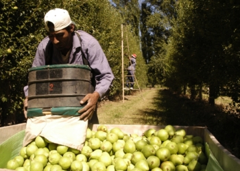 Cuanto más empleo, más jodidas están las economías regionales