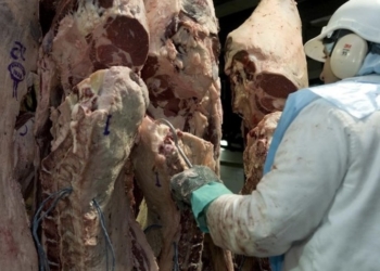 Diez grupos frigoríficos recibieron el 67,5% de la Cuota Hilton