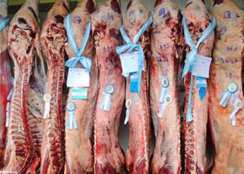 Si mantiene el ritmo actual, la Argentina volvería a cumplir con la Cuota Hilton