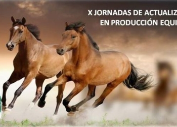 Sergio Paz: “Terminemos con el mito de que la cría de caballos es un hobbie caro”