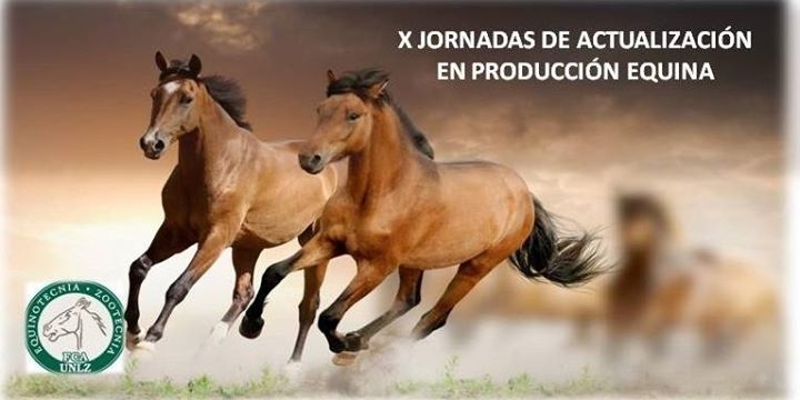 Sergio Paz: “Terminemos con el mito de que la cría de caballos es un hobbie caro”