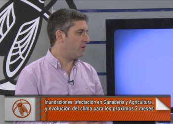 La columna Razzetti: ¿cuál es el saldo que dejan las inundaciones?