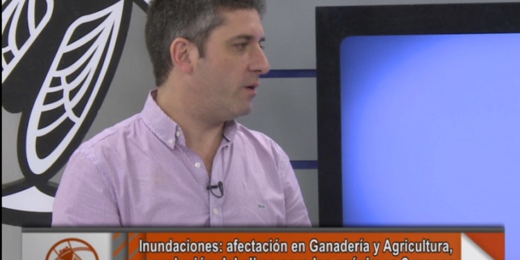 La columna Razzetti: ¿cuál es el saldo que dejan las inundaciones?