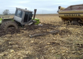 ¿Cuánto se pierde si no se puede sembrar 1 millón de hectáreas?