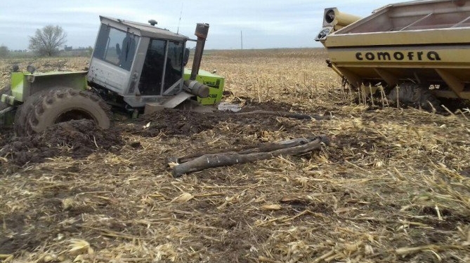 ¿Cuánto se pierde si no se puede sembrar 1 millón de hectáreas?