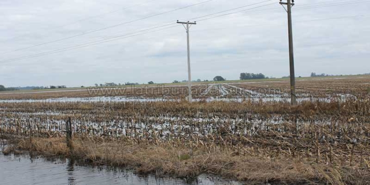 La inundación ya recortó casi 1 millón de toneladas de trigo