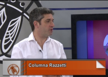 El dilema del yerbatero: se define el precio cuando termina la cosecha