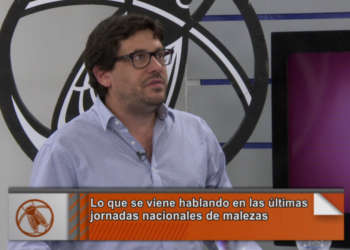 La columna Fernández: ¿Un robot contra las malezas resistentes?