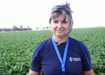 Margarita Sillón: “El 100% del trigo en el Litoral presenta manchas foliares”