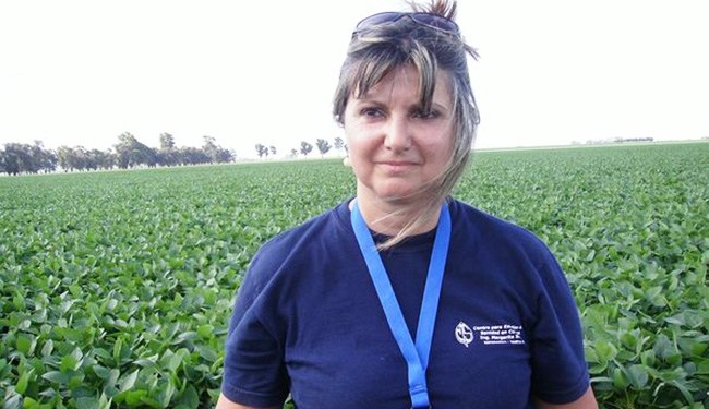 Margarita Sillón: “El 100% del trigo en el Litoral presenta manchas foliares”