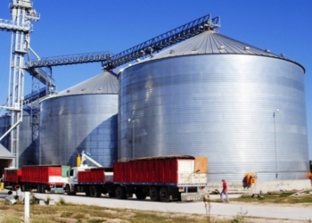 El productor continúa guardando la soja vieja, pero vende trigo nuevo