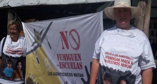 Condenan en Entre Ríos a quienes aplicaron agroquímicos cerca de una escuela