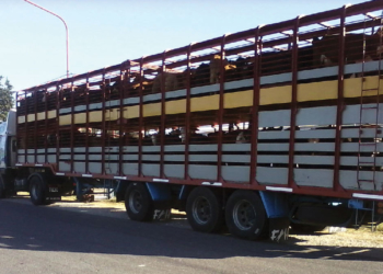 Sale hacienda de los feedlot y se acelera la faena