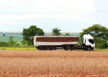 Luis Urriza: “El 90% de los productores del Plan Belgrano ya tiene sus órdenes de pago”