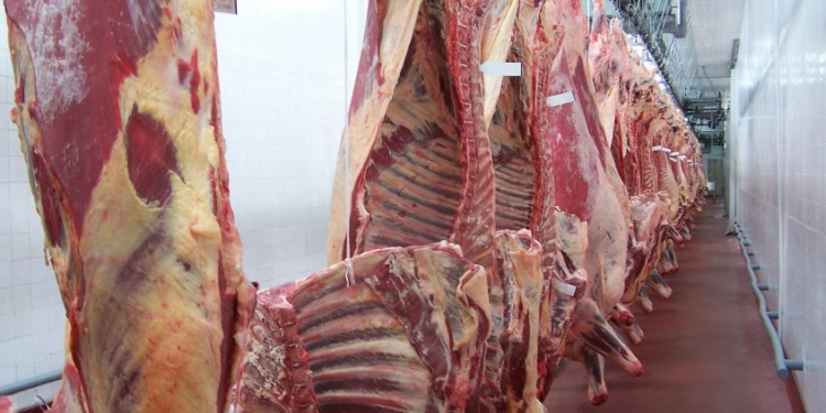 Empiezan a acelerar las exportaciones de carne vacuna y pollo