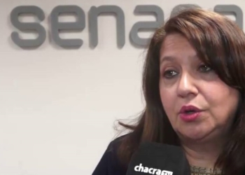 Cecilia Catenaccio: “Hubo daños a cultivos, pero los mayores focos de langosta están en los montes naturales”