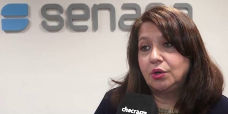 Cecilia Catenaccio: “Hubo daños a cultivos, pero los mayores focos de langosta están en los montes naturales”