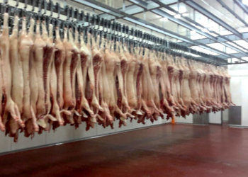 Guillermo Proietto: “Ya exportamos 600 toneladas de carne de cerdo”