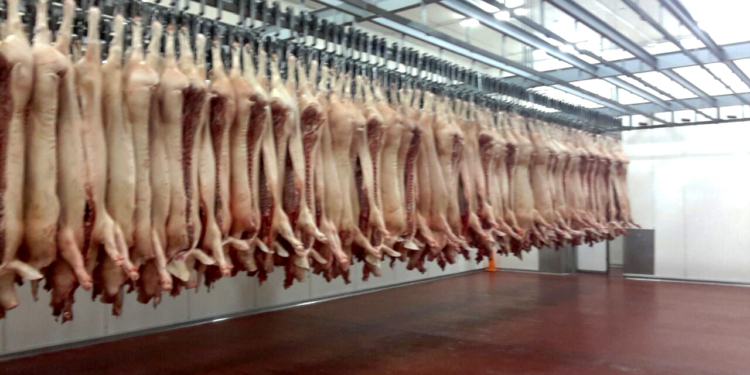 Guillermo Proietto: “Ya exportamos 600 toneladas de carne de cerdo”