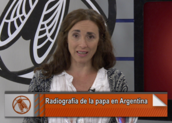 La columna Groba: una radiografía de la papa