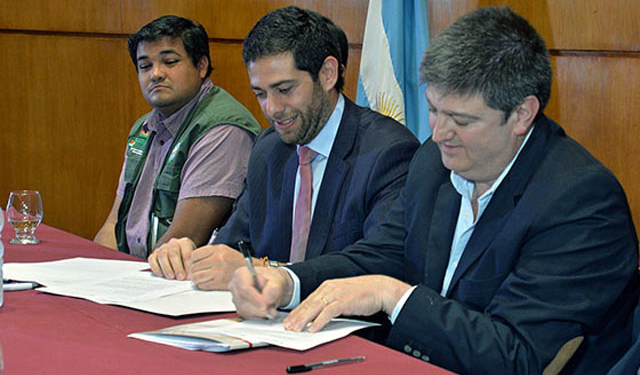Argentina, Paraguay y Bolivia firman un convenio para enfrentar a la langosta