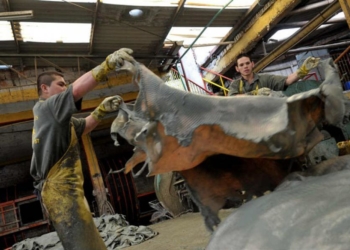 Presión frigorífica sobre Macri para que defina de una vez la guerra de los cueros