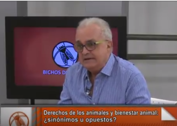 Leopoldo Estol: “La hacienda machucada le hace un agujero a la economía del país”