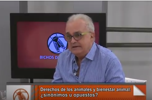 Leopoldo Estol: “La hacienda machucada le hace un agujero a la economía del país”