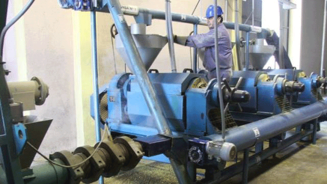 Las Pymes de la soja en crisis: necesitan reducir su capacidad ociosa para no fundirse