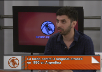 Héctor Medina: “La pelea contra las langostas durará por lo menos hasta 2019”