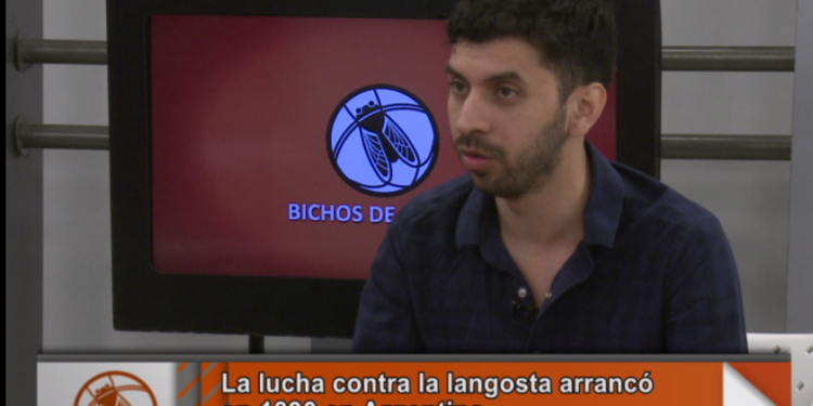 Héctor Medina: “La pelea contra las langostas durará por lo menos hasta 2019”