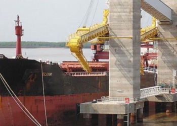 El Senasa cede a los privados parte del control de los barcos cerealeros