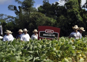Extienden a la campaña 2017/18 el sistema BolsaTech, que verifica el origen de la semilla de soja