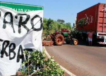 Círculo vicioso: suben los precios de la yerba, pero los productores reciben cada vez menos dinero