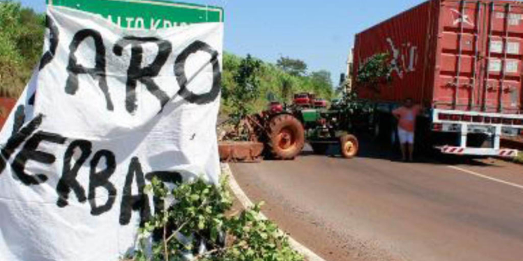 Círculo vicioso: suben los precios de la yerba, pero los productores reciben cada vez menos dinero