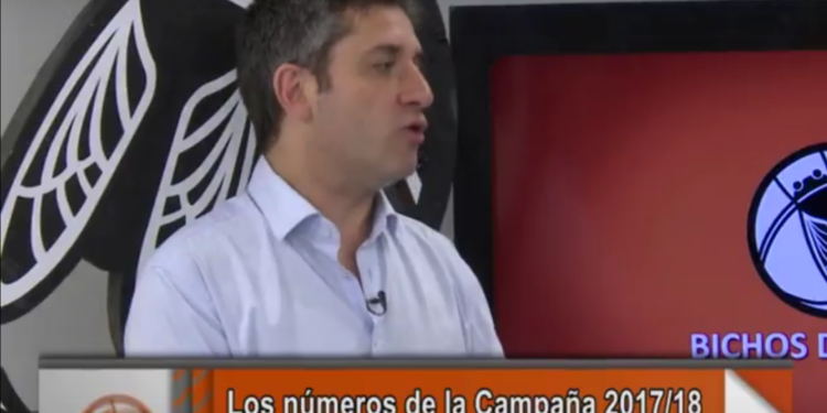 La columna Razzetti: “Se estima una cosecha de 121 millones de toneladas, con más maíz”