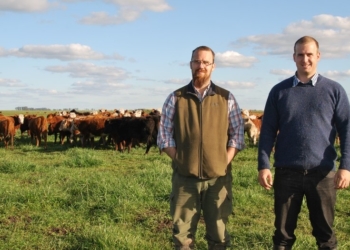 Roberto Truppel: “Hay que hacer frente a la contaminación ambiental que genera la bosta”