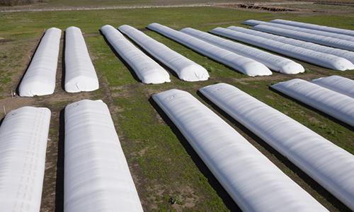 La paritaria del agro: la soja perdió 14% de su poder de compra en 2017