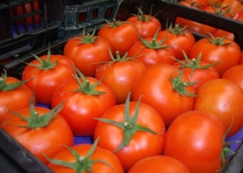 La Argentina ingenua, recibe importaciones de todos pero sería prohibida en Bolivia