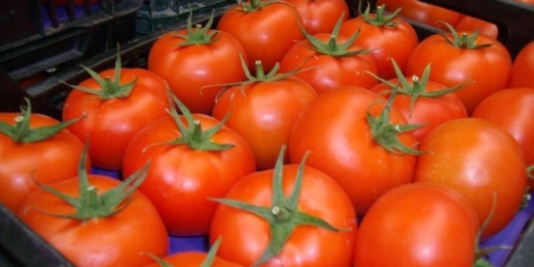 La Argentina ingenua, recibe importaciones de todos pero sería prohibida en Bolivia